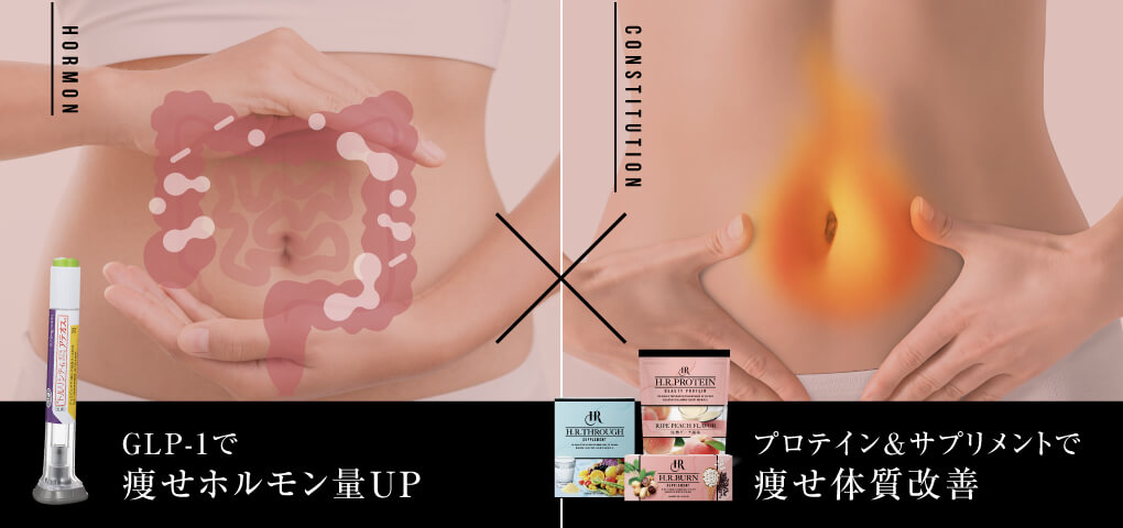 Hormon 痩せホルモン量UP constitution 痩せ体質改善